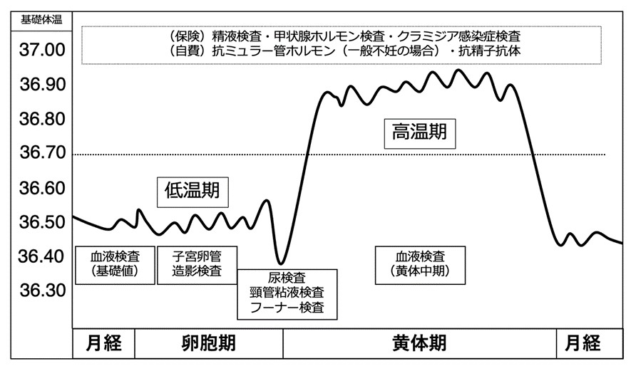 グラフ2