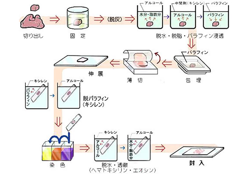 病理検査室1