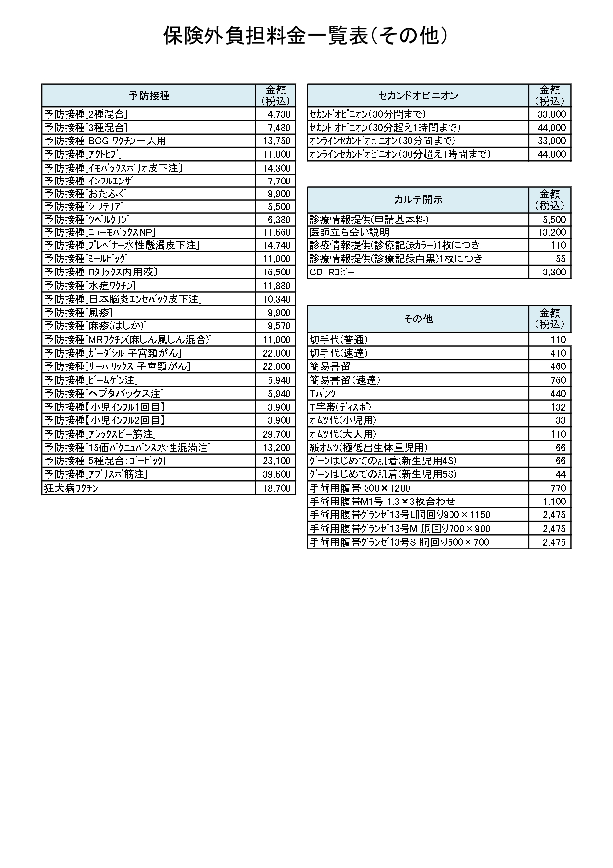 保険外負担一覧表（掲示）その他_page-0001