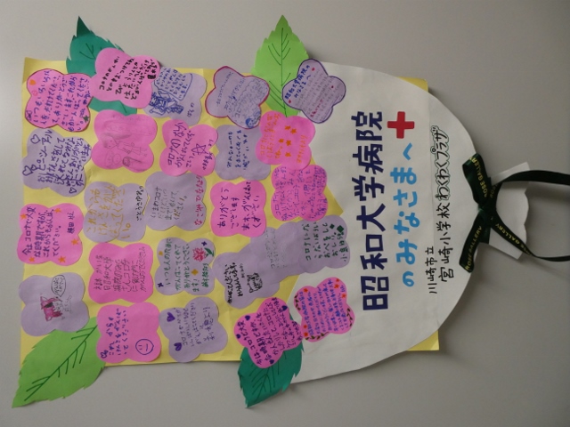 P1020122 (480x640)