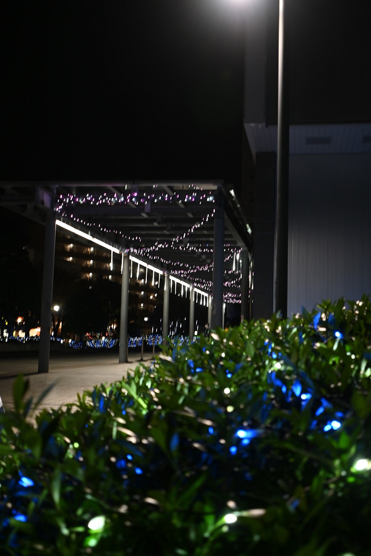 ★★DSC_0940