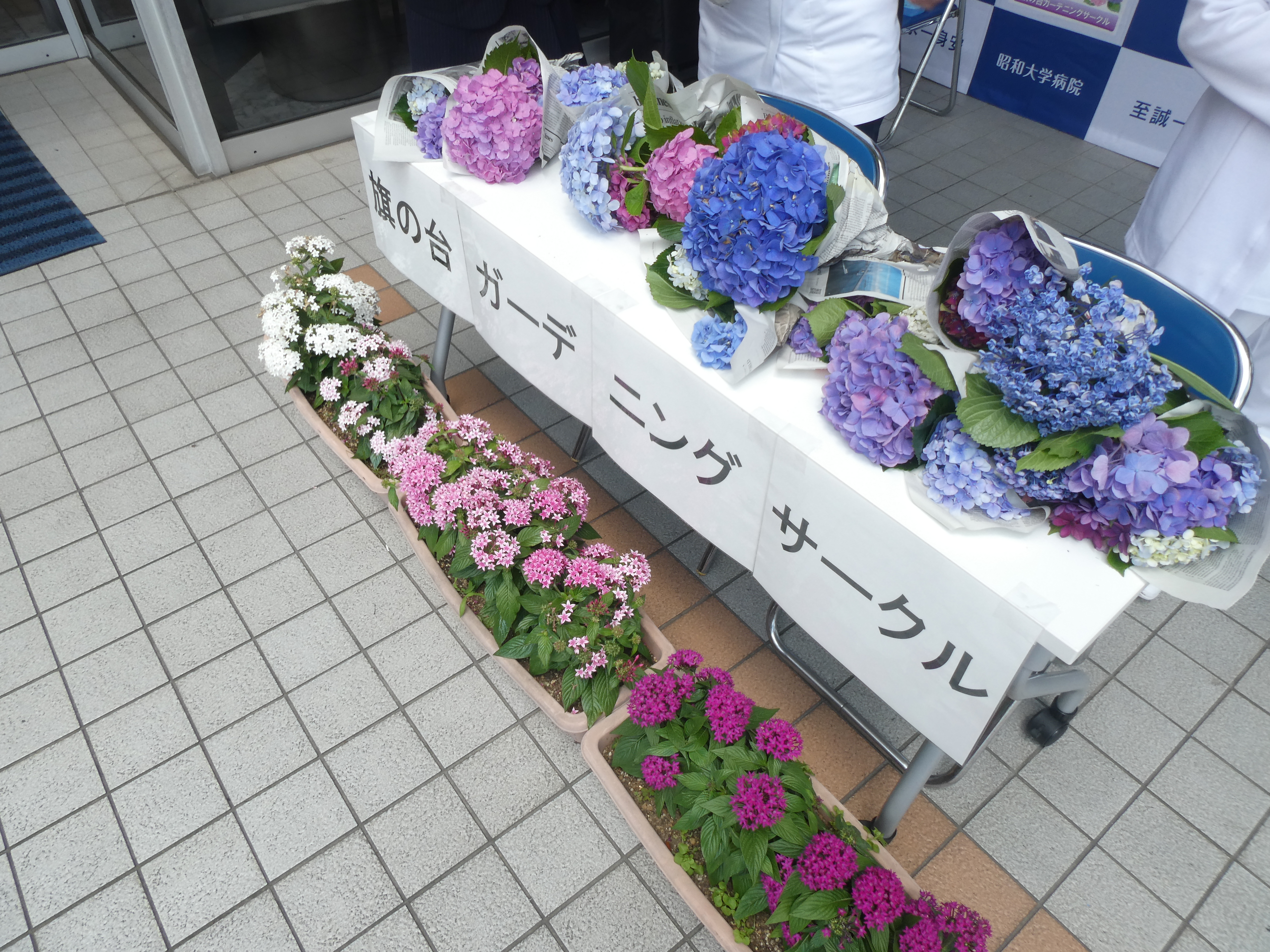 P1150980