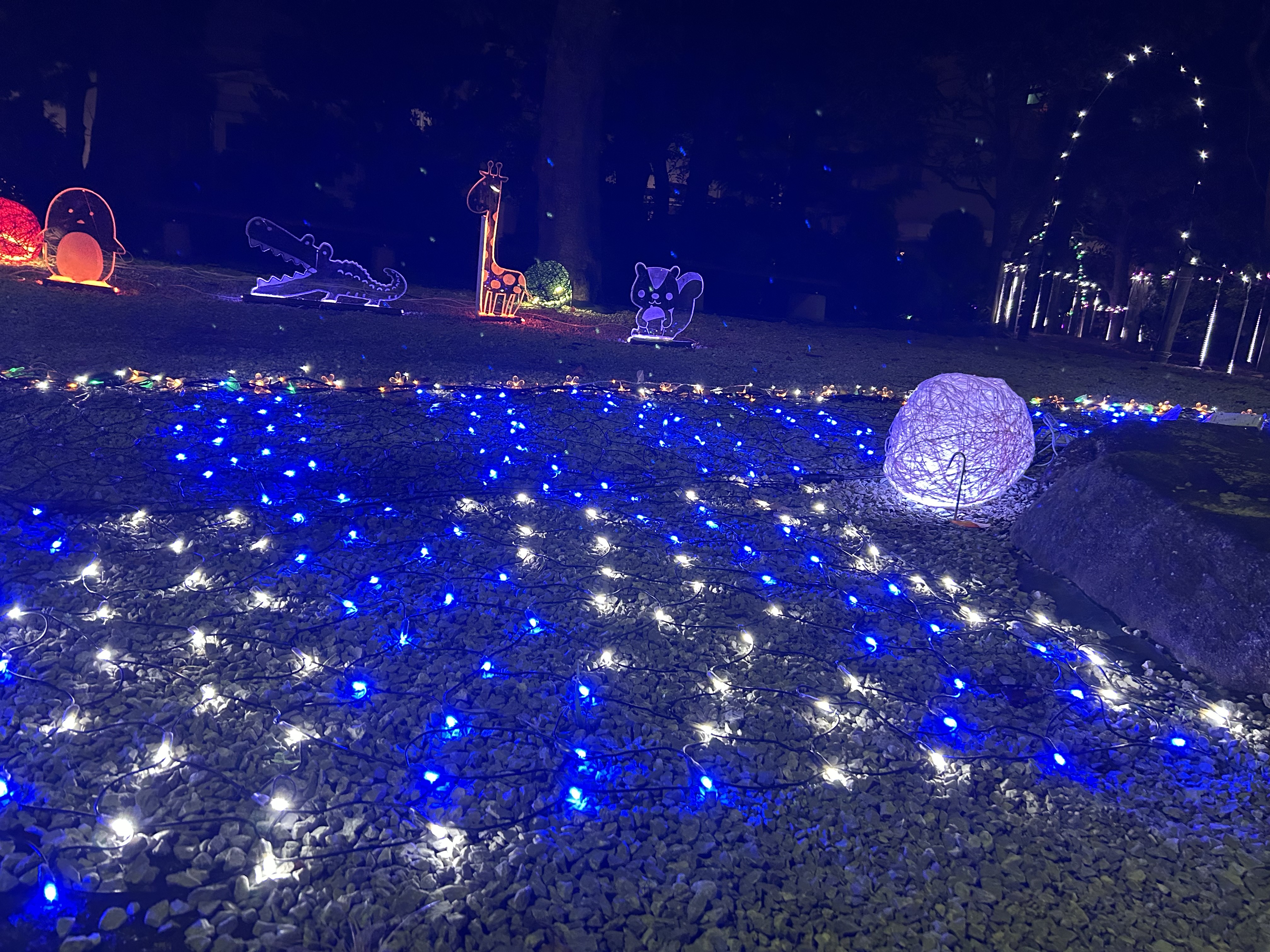 image_50416385○（入院棟）