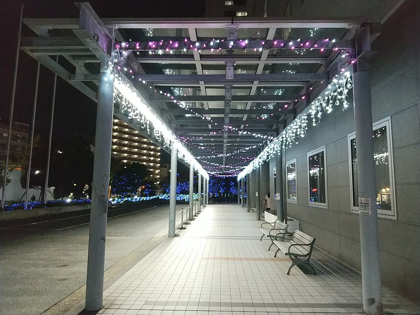 SNOW_20241122_173358_369