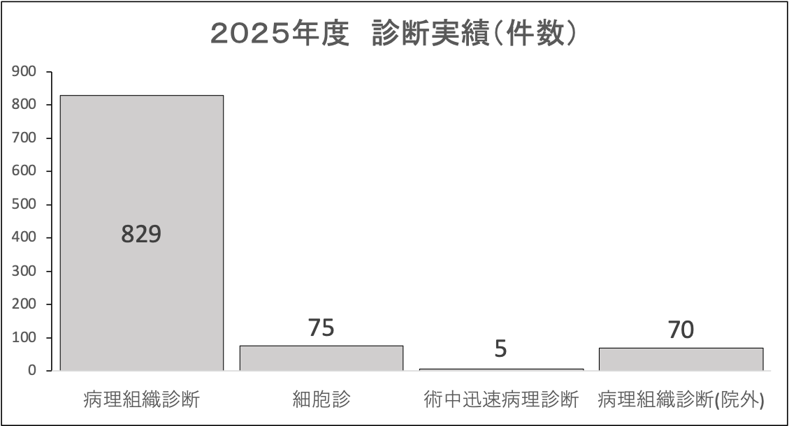 病理-診断実績-1