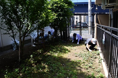 草取り2