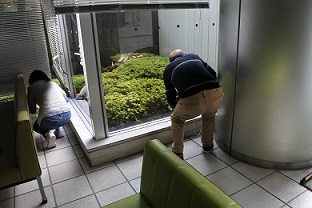 掃除3