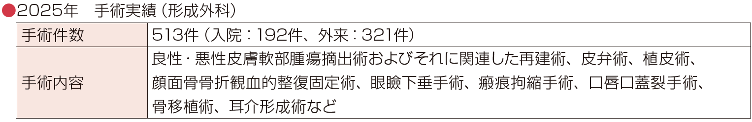 2025年　手術実績（形成外科）
