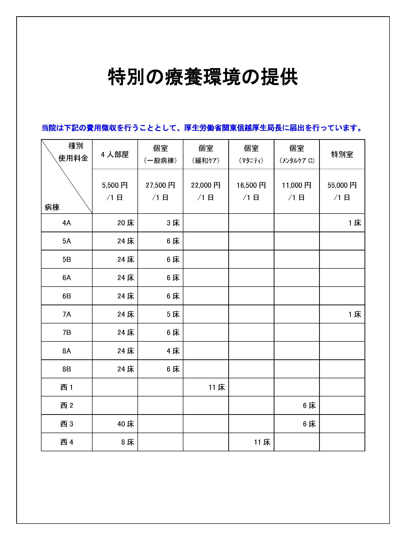 特別な療養環境の提供