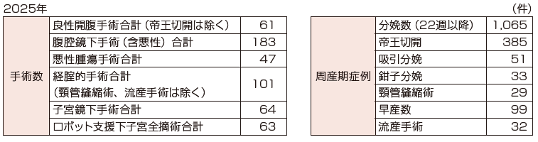 主な診療実績 手術・周産期症例