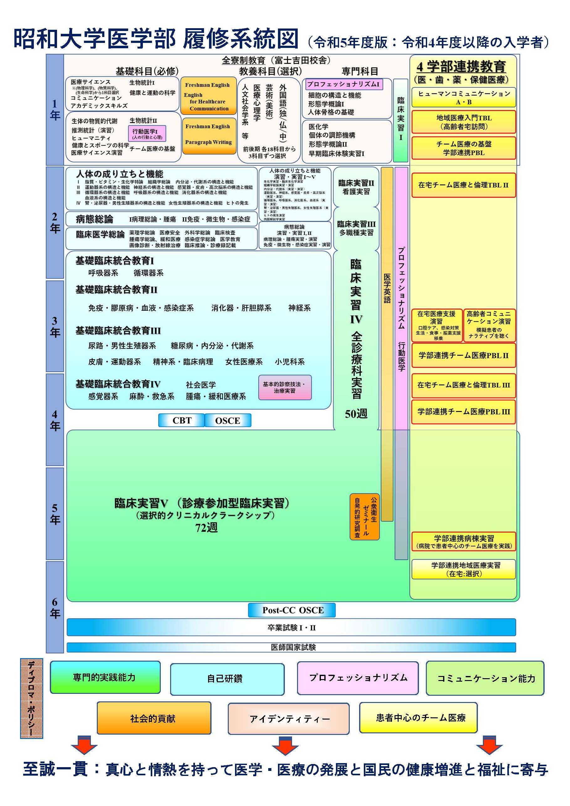 2023年度昭和大学履修系統図(令和4年度の入学者）