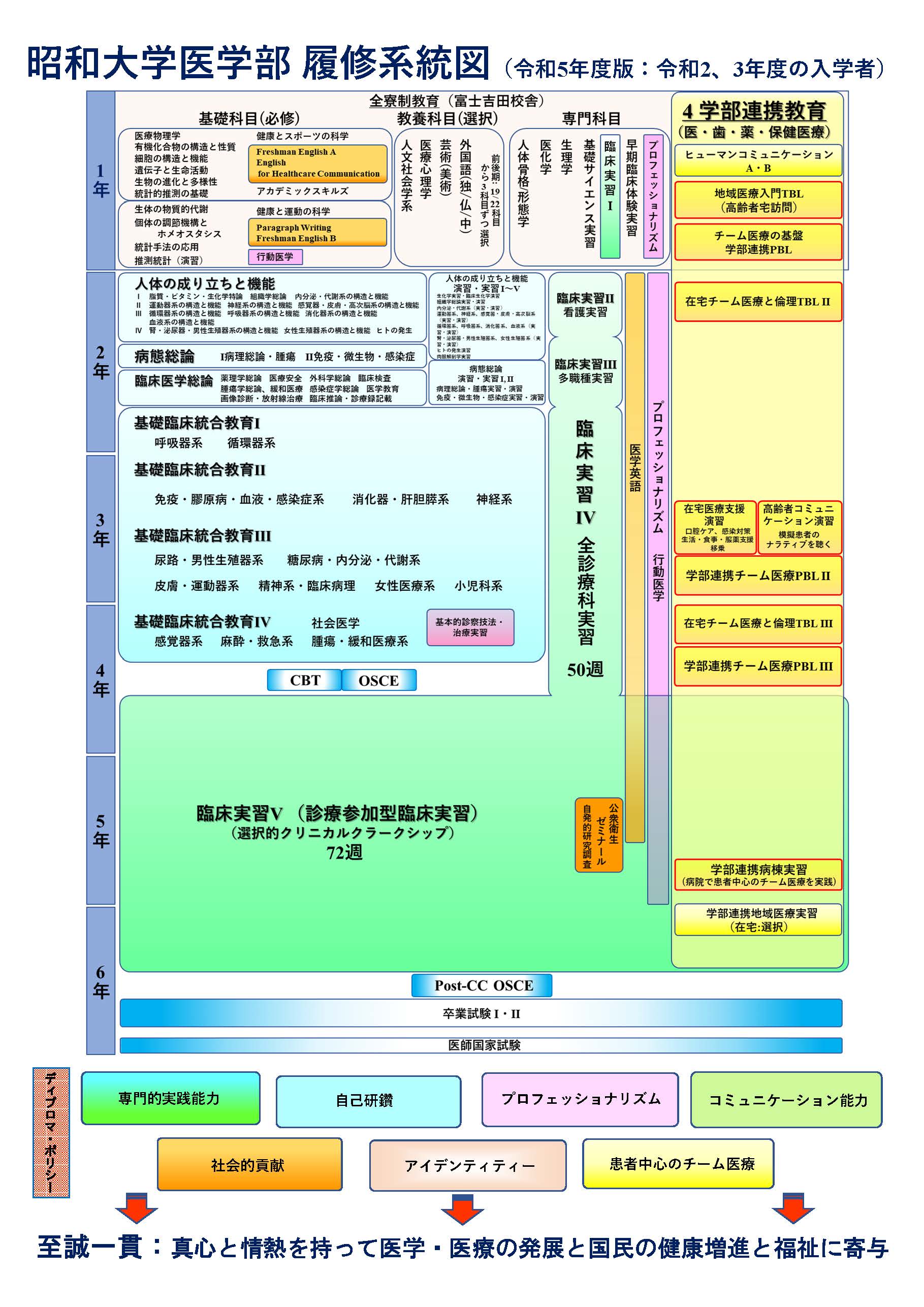 2023年度昭和大学履修系統図(令和2、3年度の入学者）