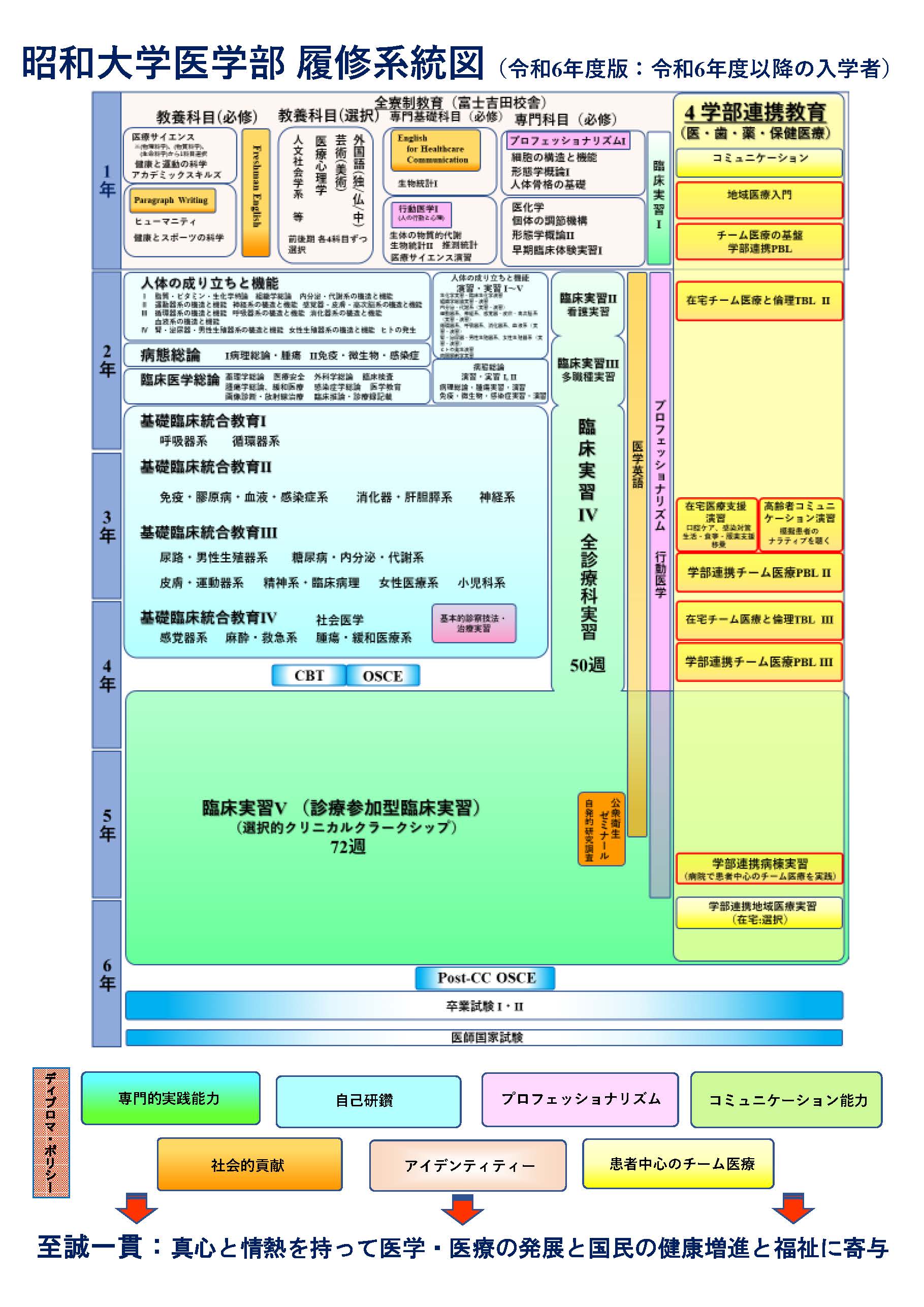 2024年度昭和大学履修系統図(令和6年度以降の入学者）_ページ_1