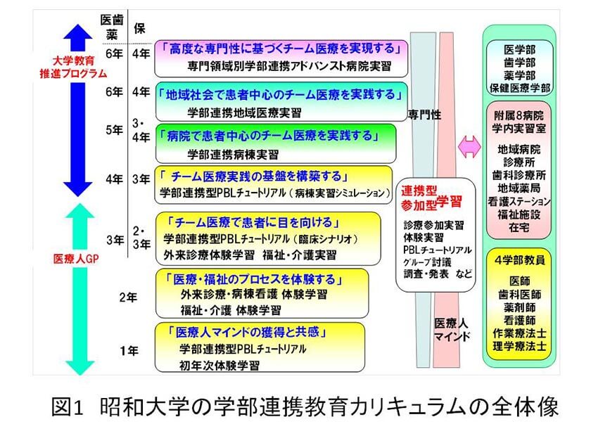 学部連携教育カリキュラムの全体像