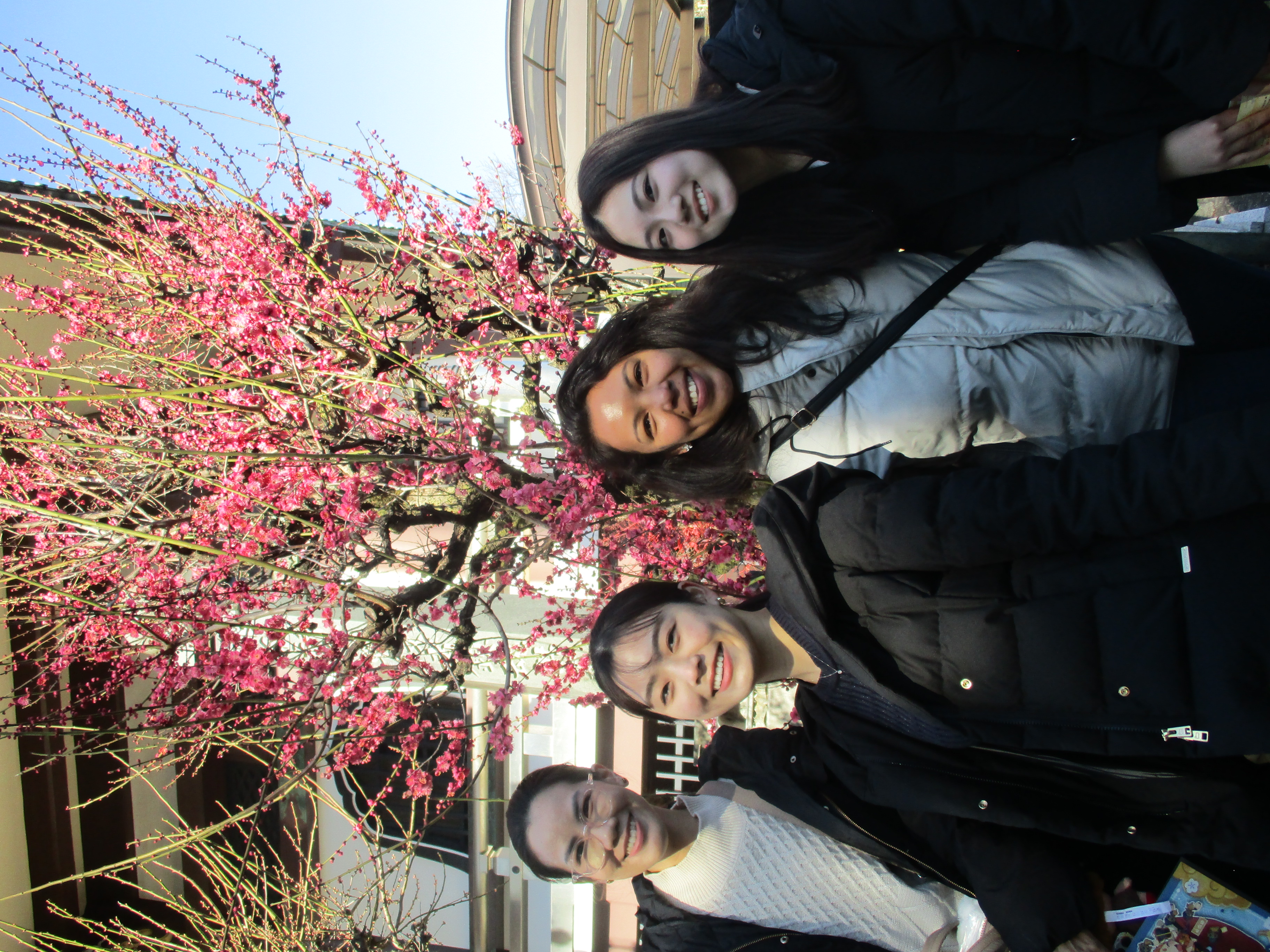 おさんぽツアー (3)