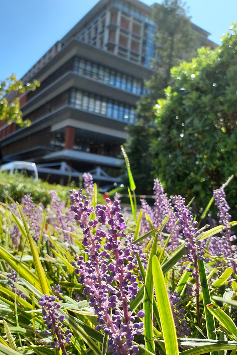 江東豊洲病院_フィリヤブラン