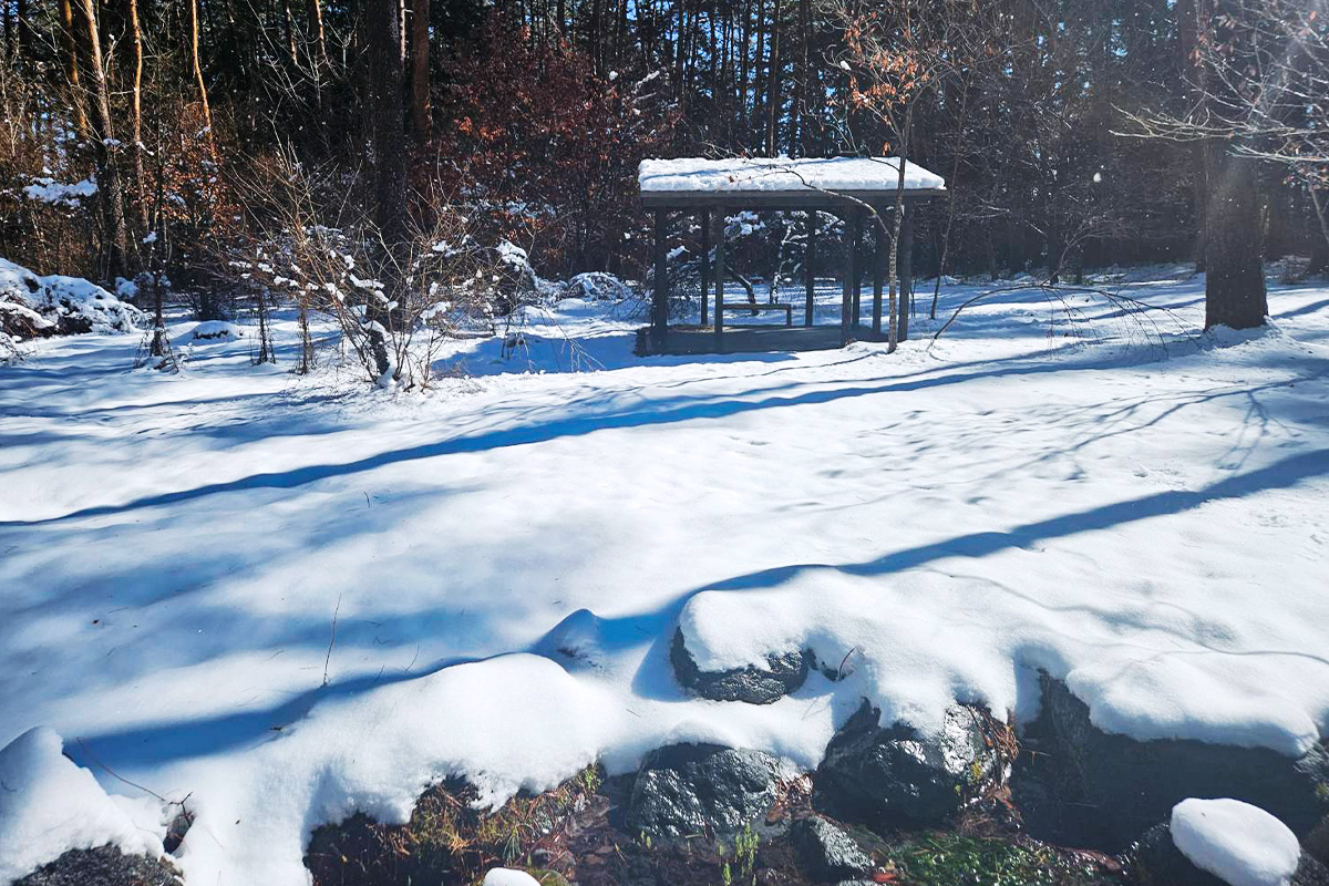 積雪した園内①_