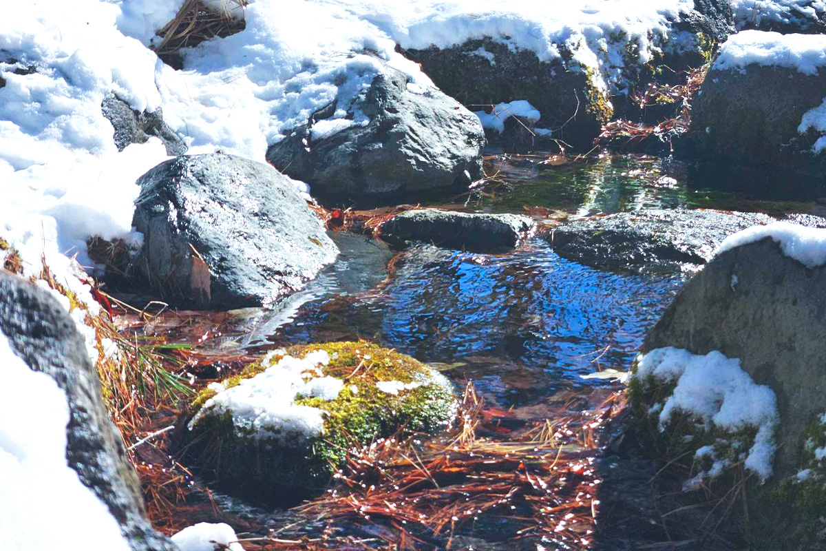 雪解けのビオトープ_