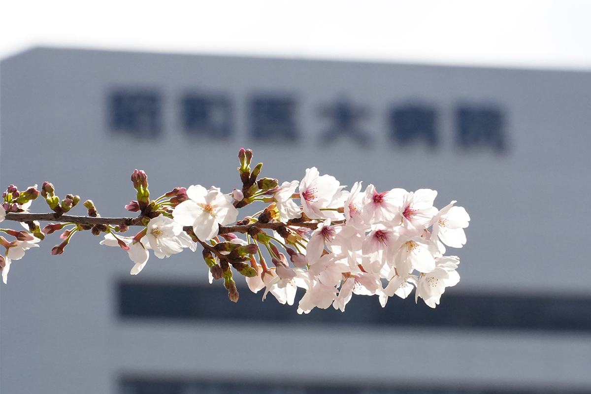 キャンパスの風景③