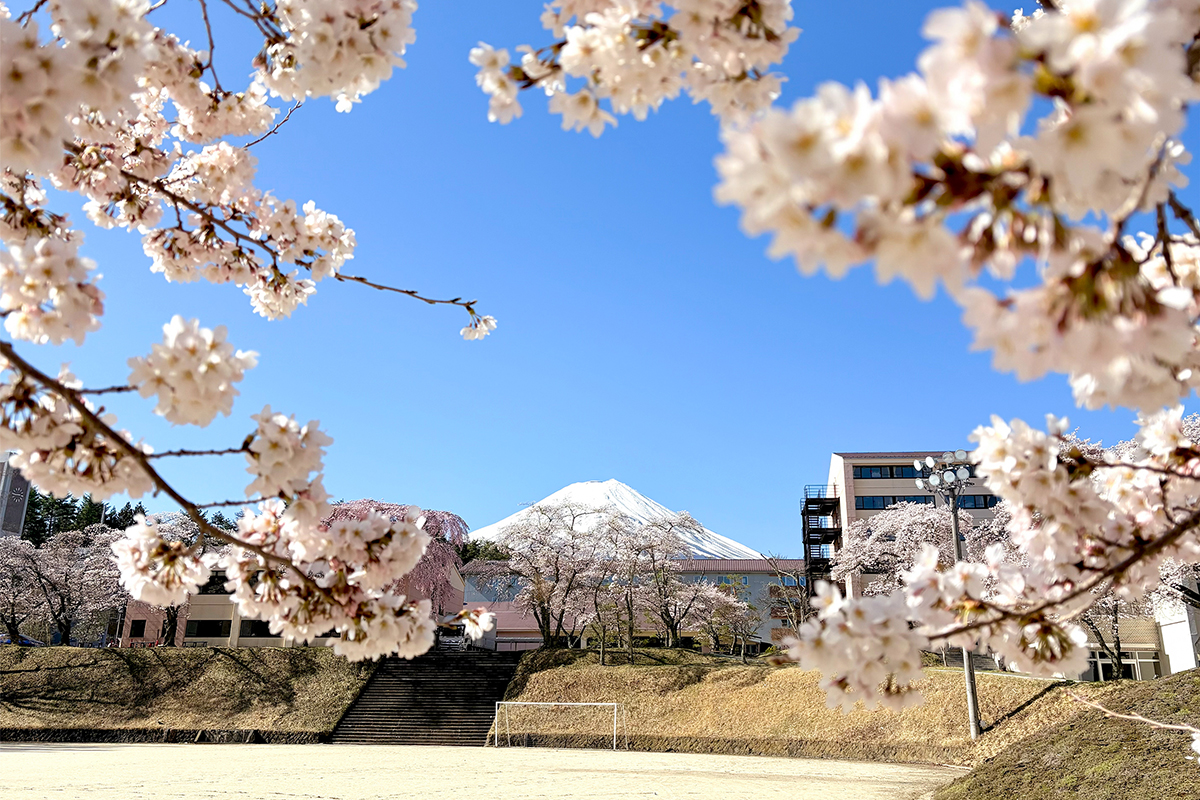 キャンパスの風景④