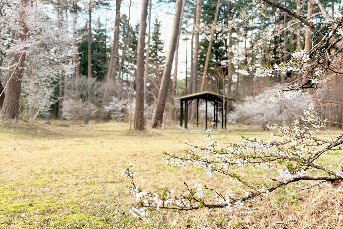 キャンパスの風景⑥