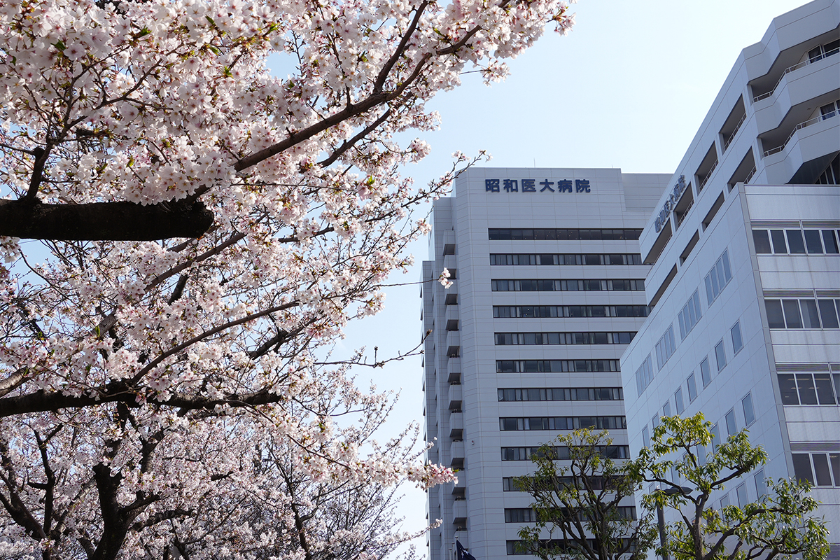 キャンパスの風景①