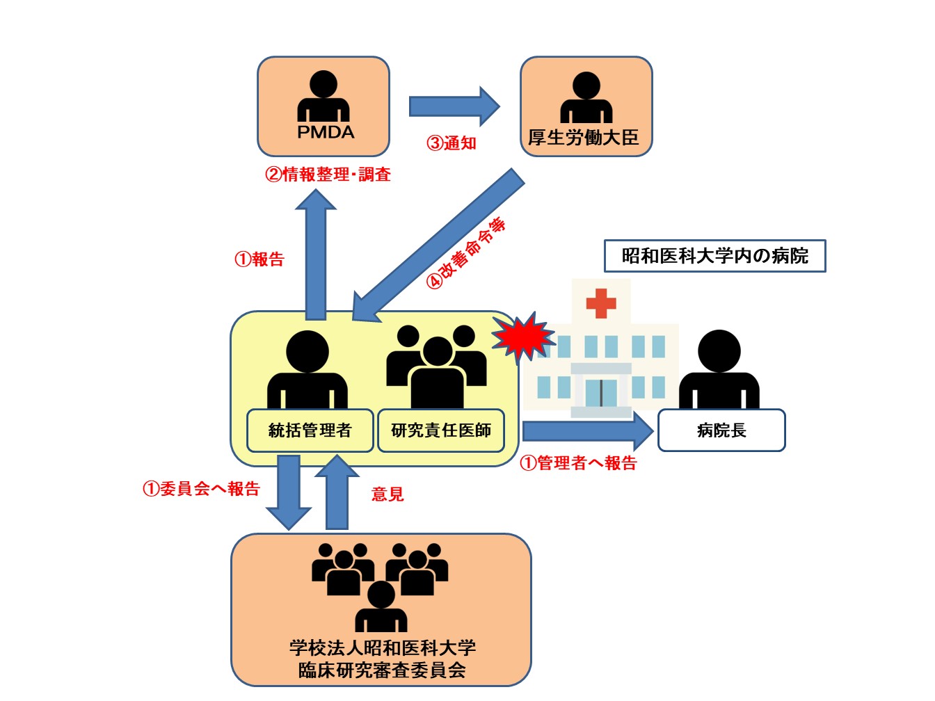 昭和医科大学のみ実施（単医療機関）の特定臨床研究の疾病報告手順