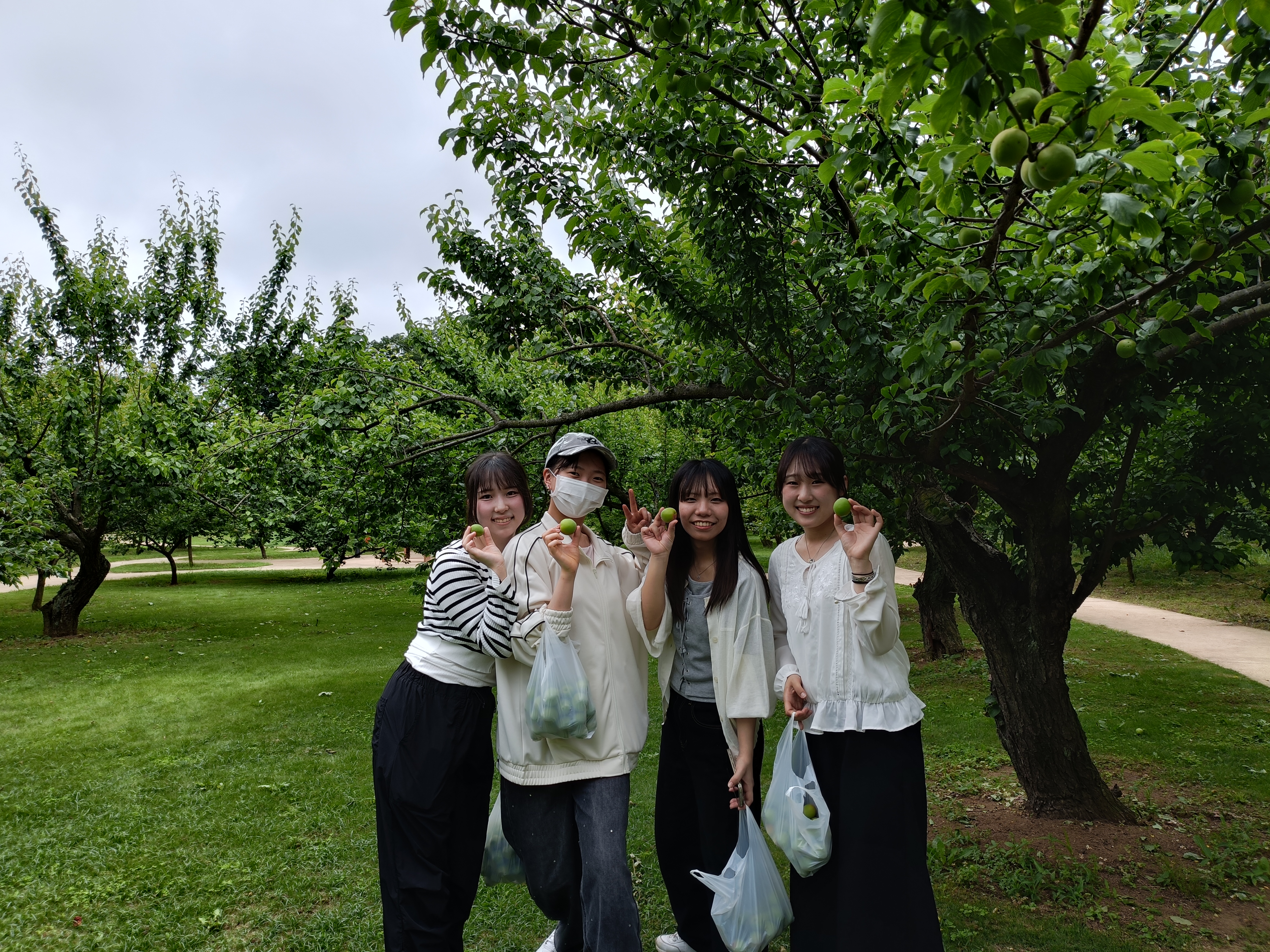 IMG20260528123635