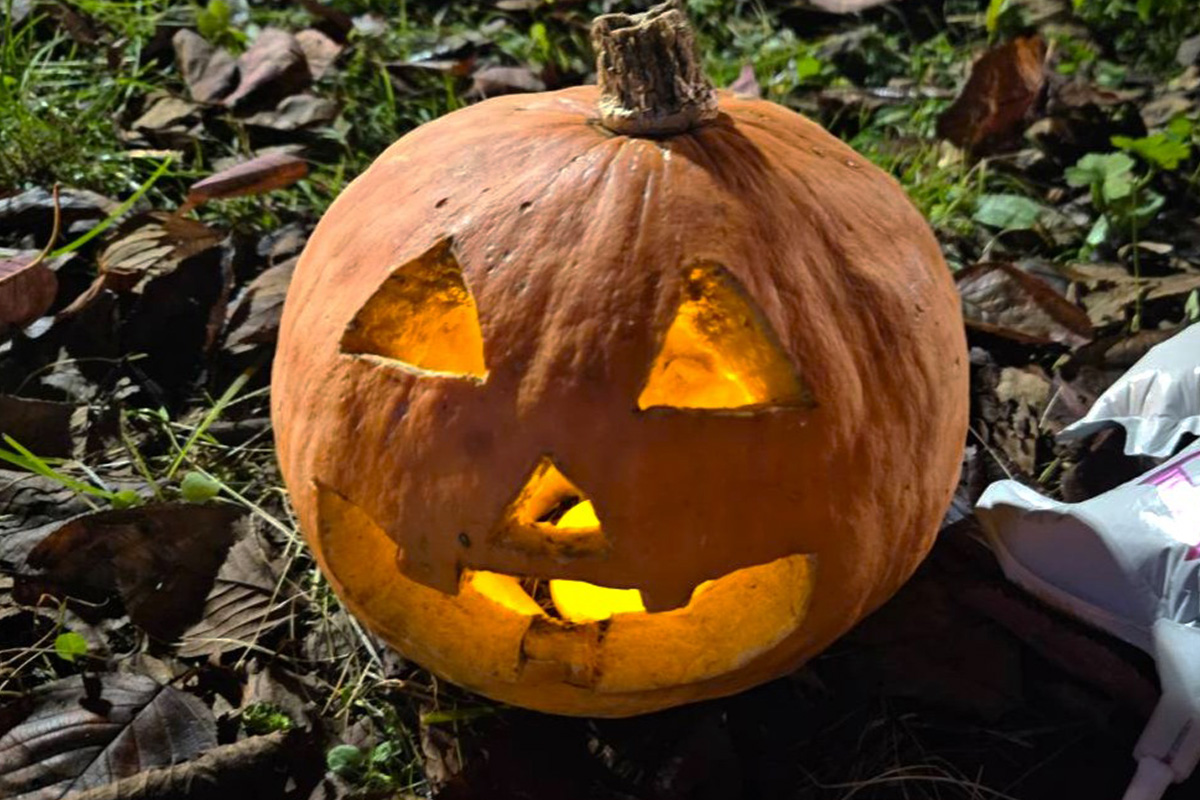 イベント2024ハロウィン2