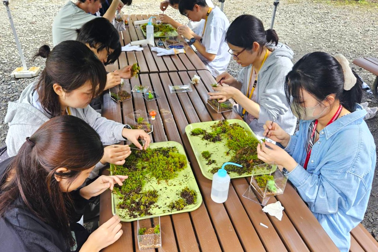 2025コケテラリム作成3