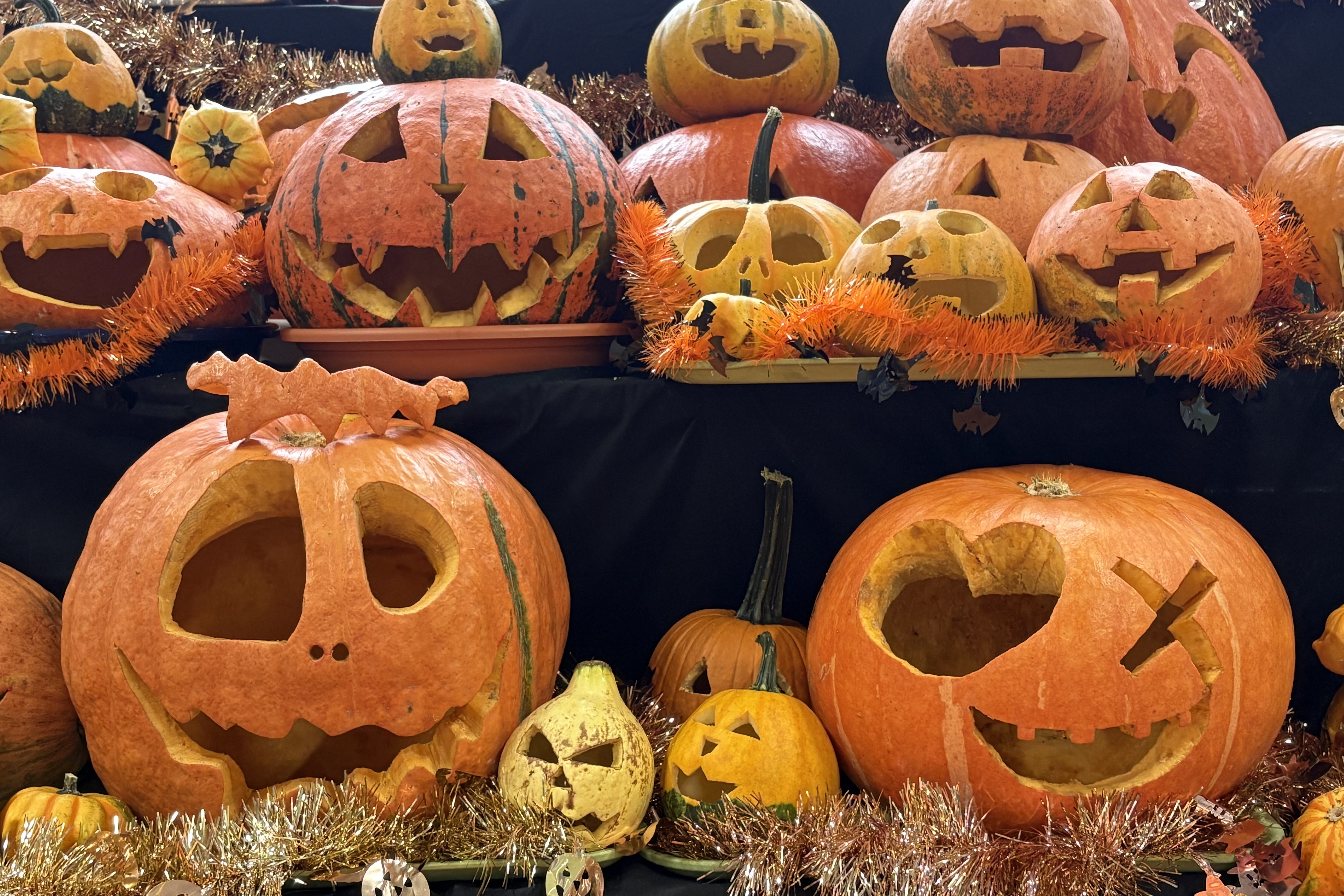 ハロウィン1