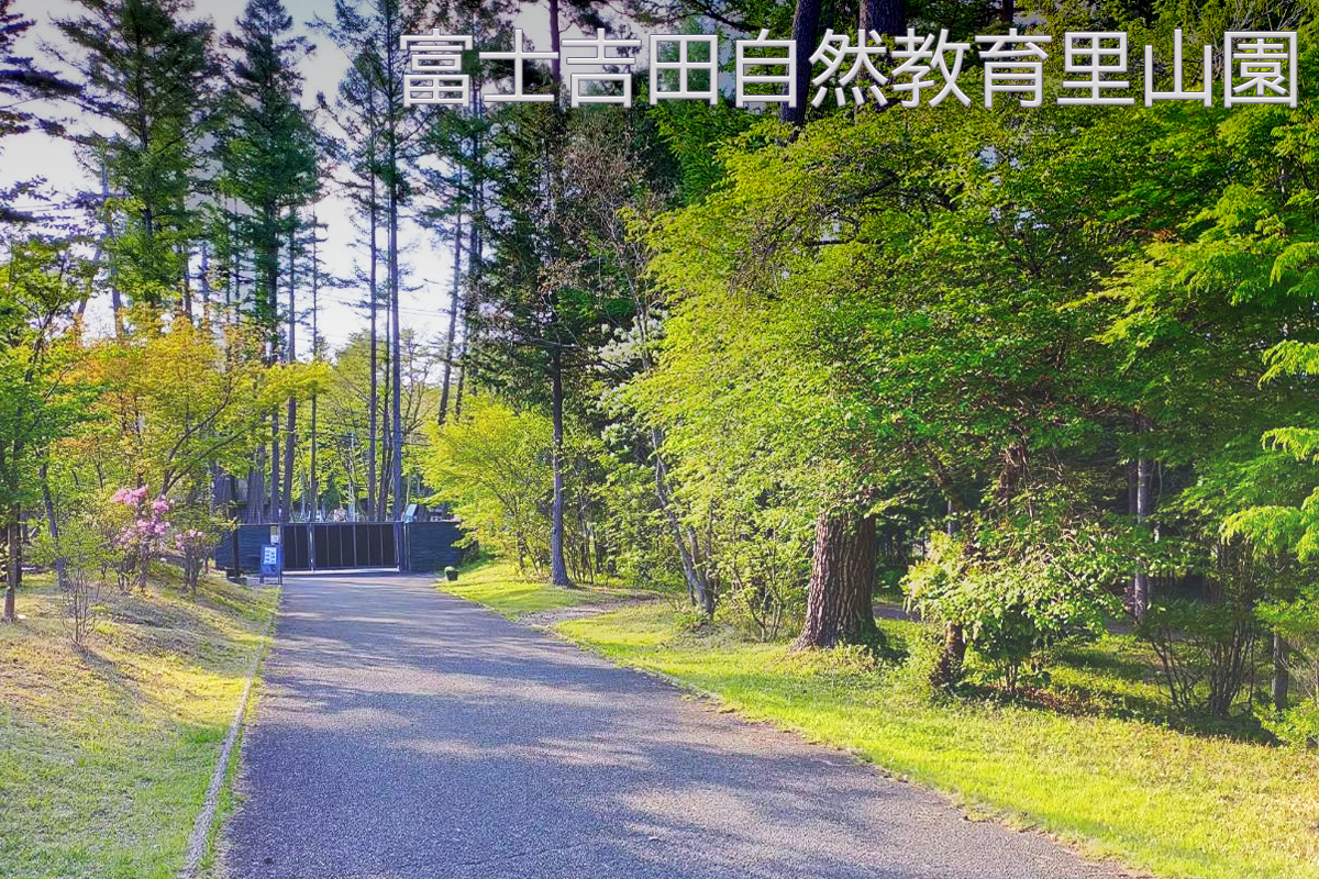 20260330_富士吉田自然教育里山園