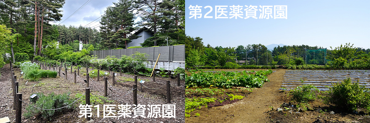 サムネ