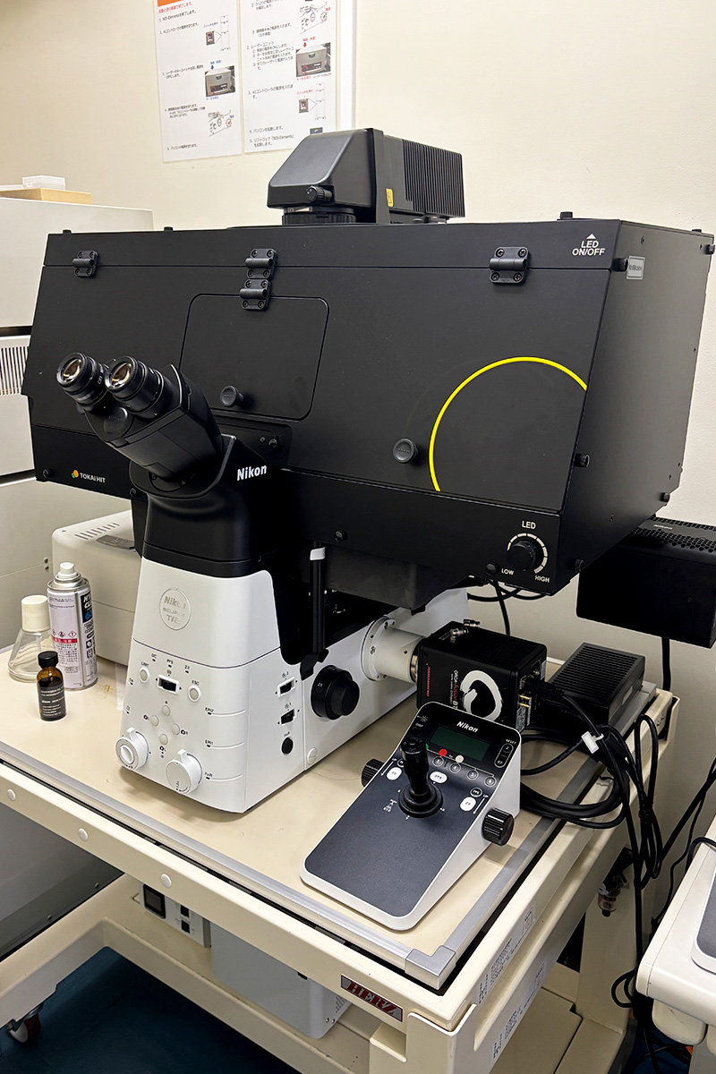 20251125_S__116129804_0