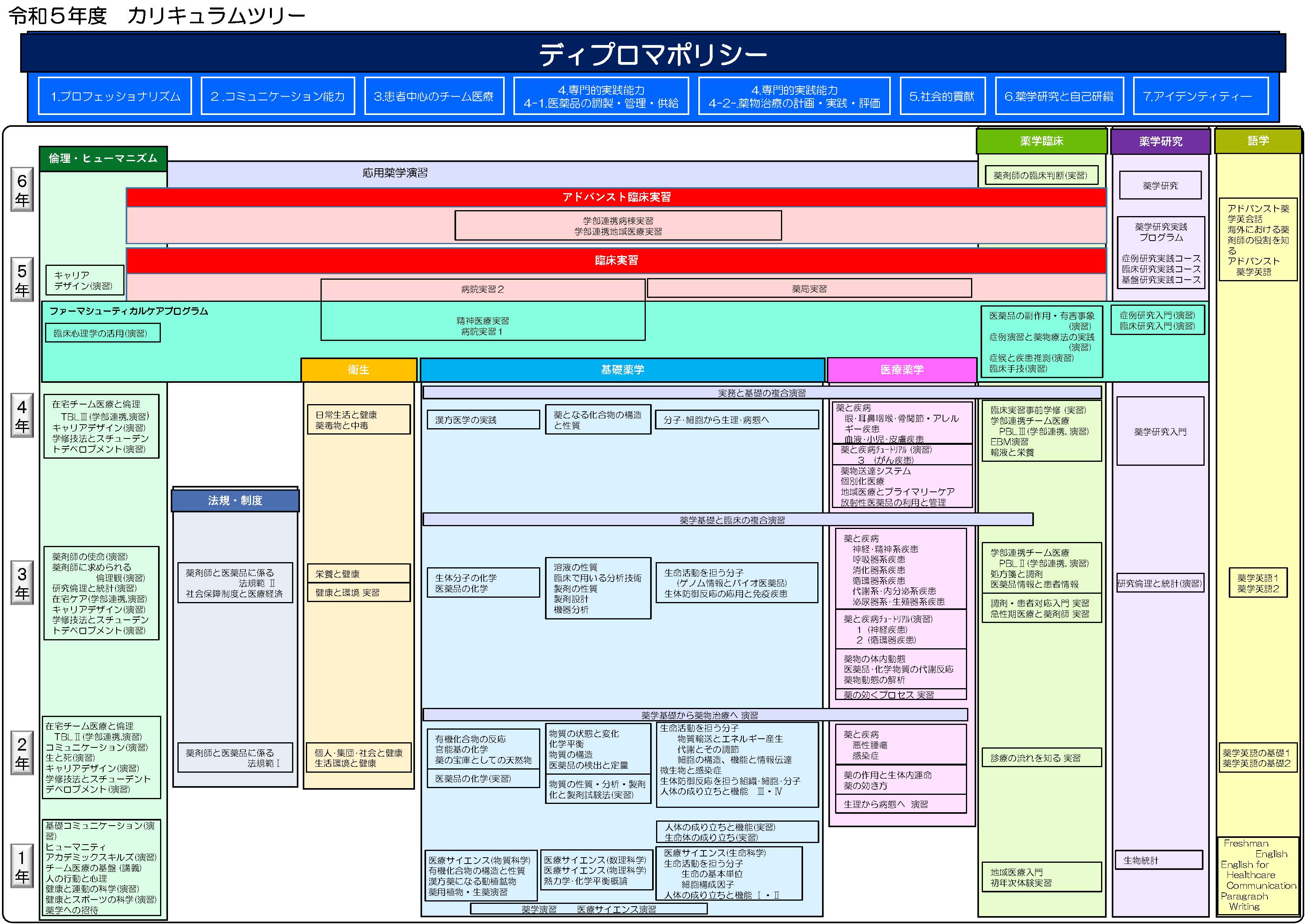 薬学部 履修系統図