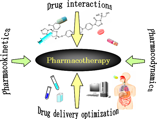 基礎医療薬学講座 薬物動態学部門