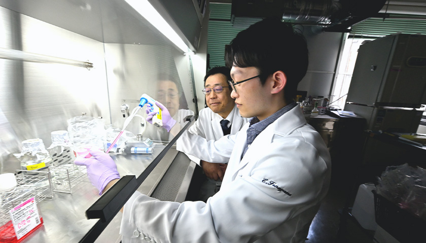 薬学研究科