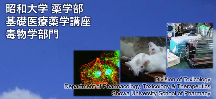 Division of Toxicology