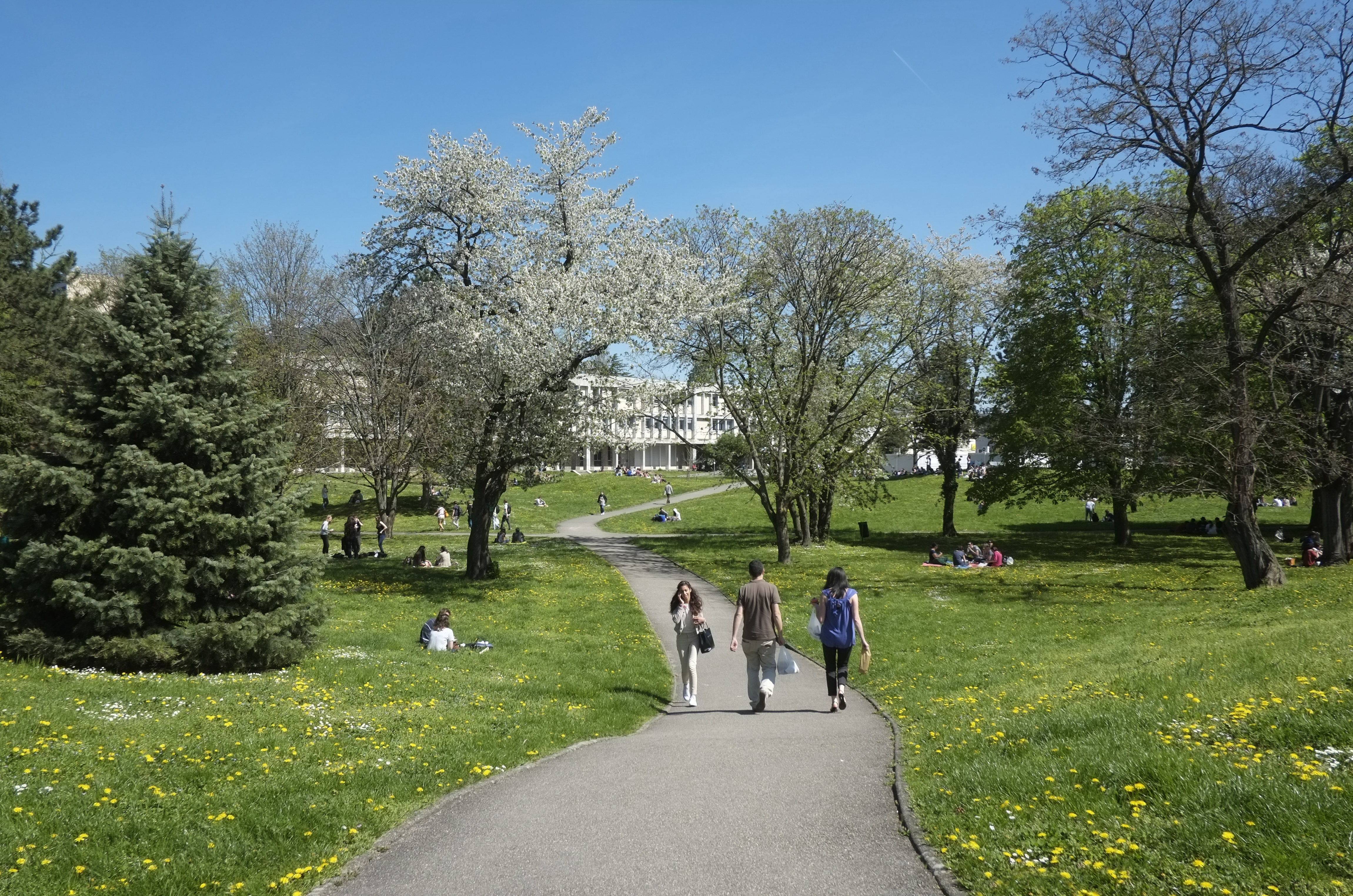 Lyon1_Campus de la Doua (8)