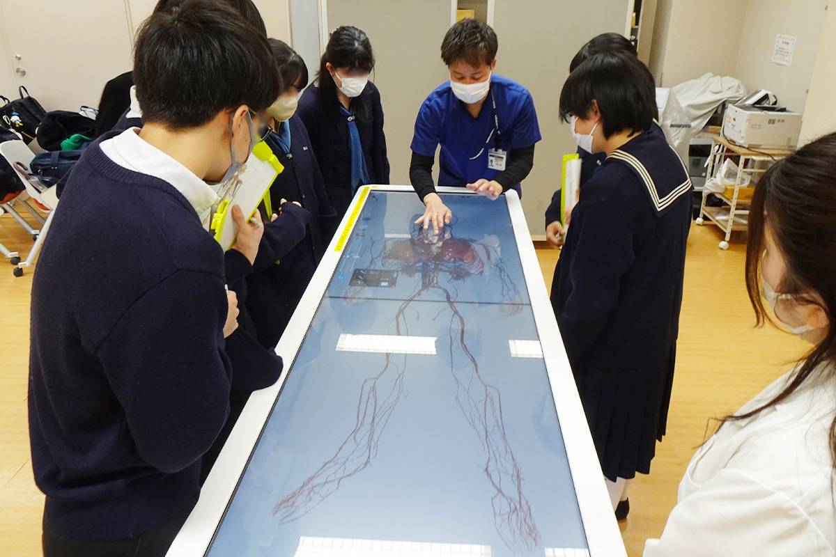 01アナトマージテーブル_ぼかし