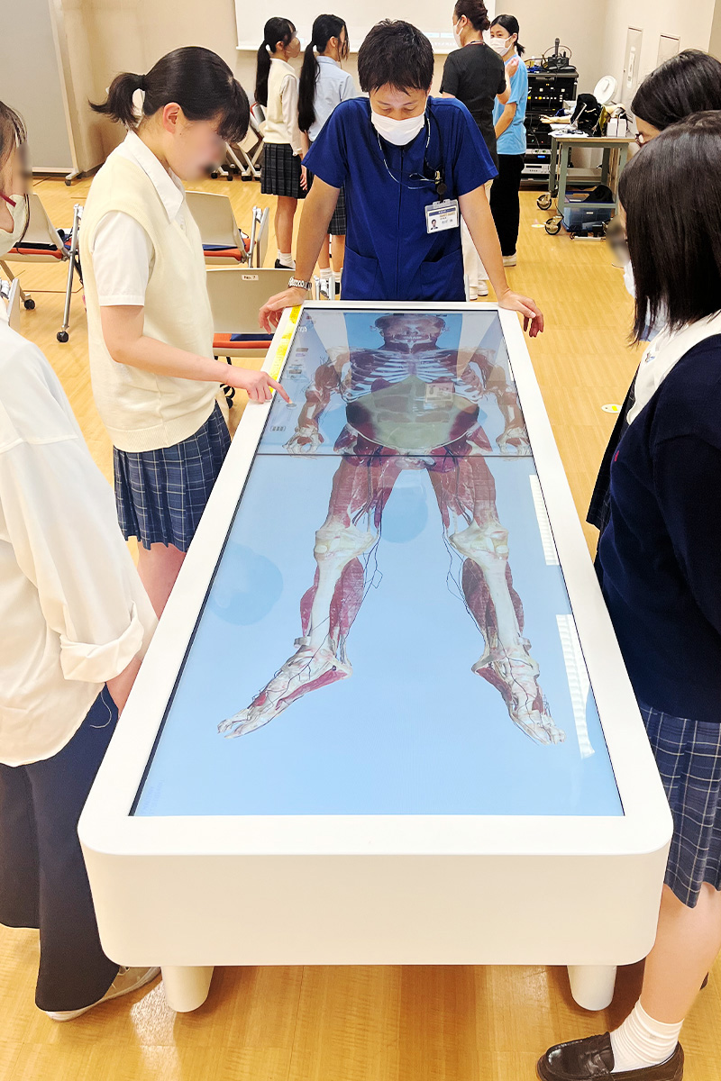 昭和 身体測定 女子 昭和女子大学附属昭和高等学校の生徒を対象にシミュレーション体験授業を実施｜昭和医科大学