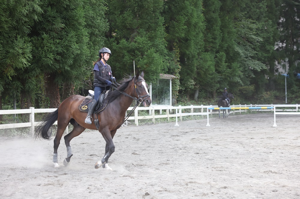 乗馬