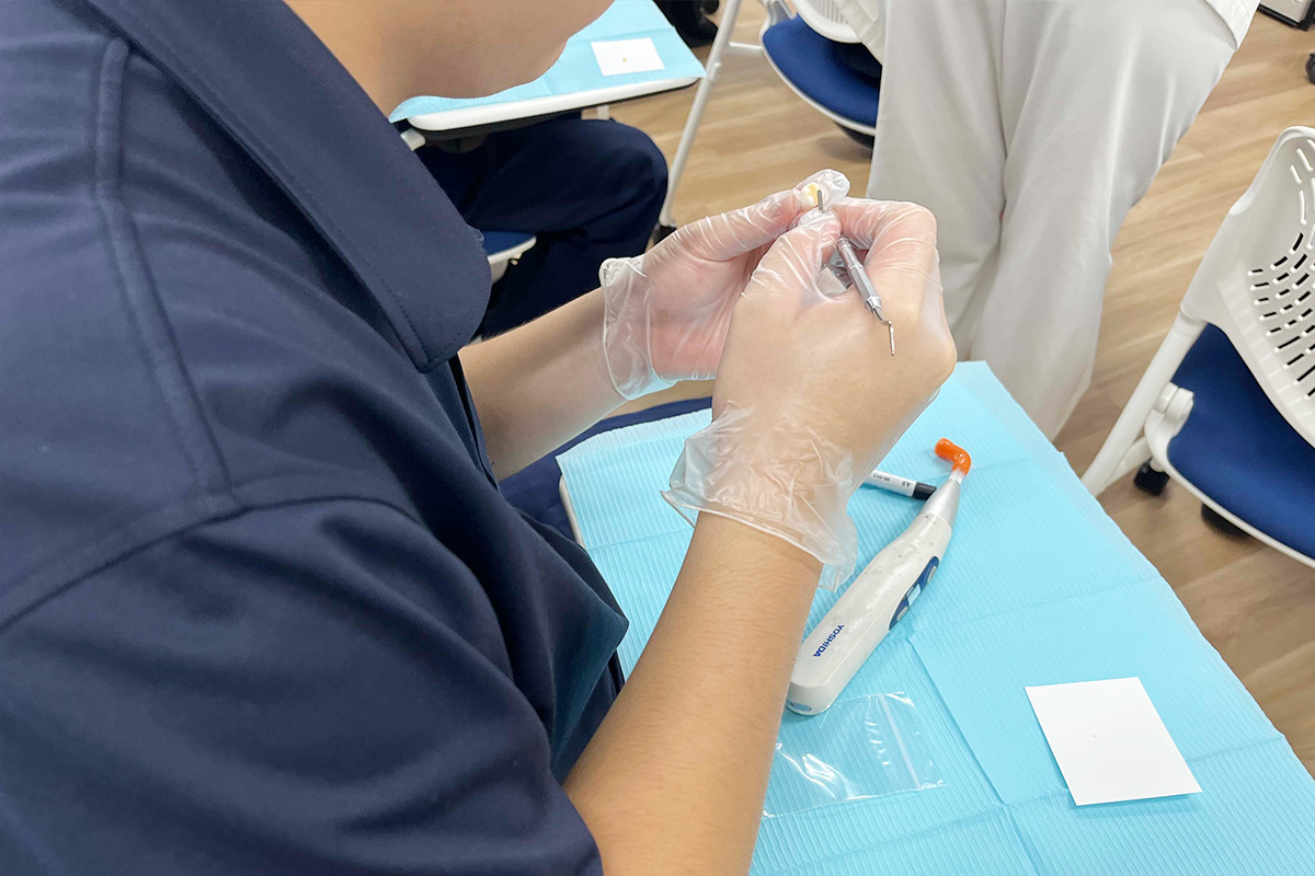 02_歯学部:歯の詰め物体験
