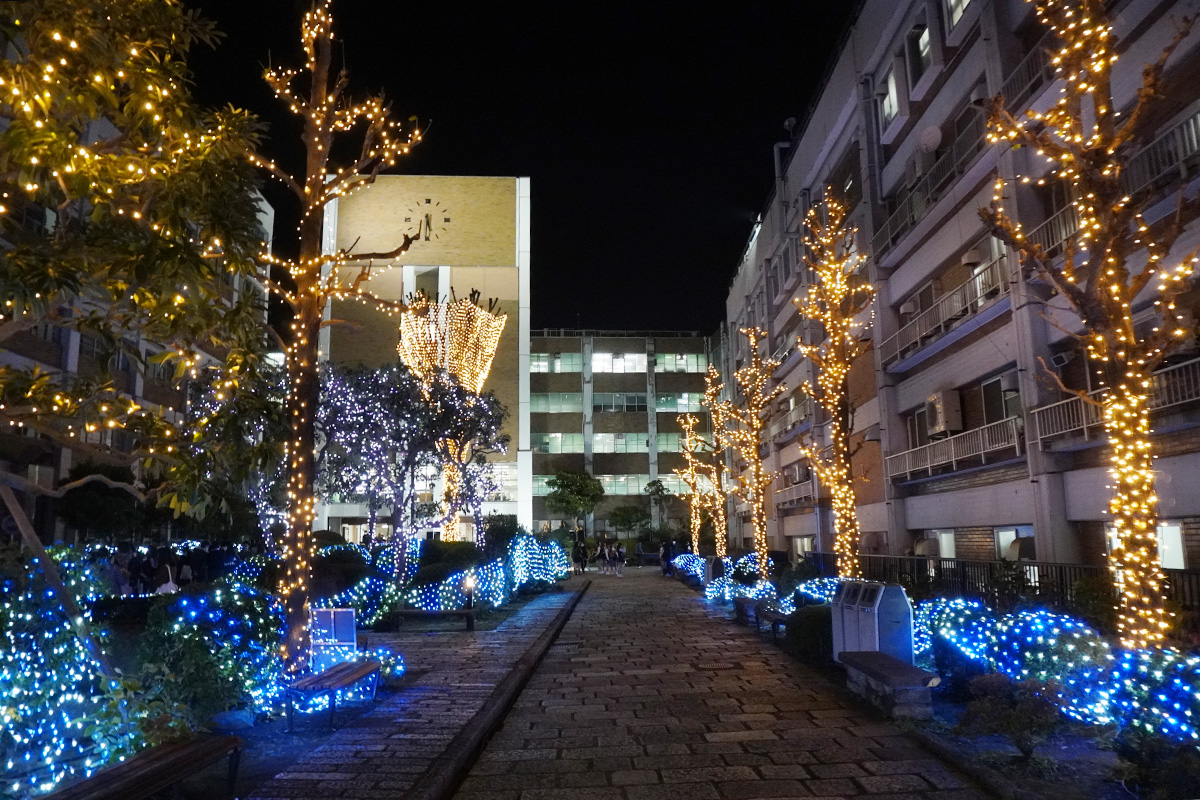 06_イルミネーションの様子