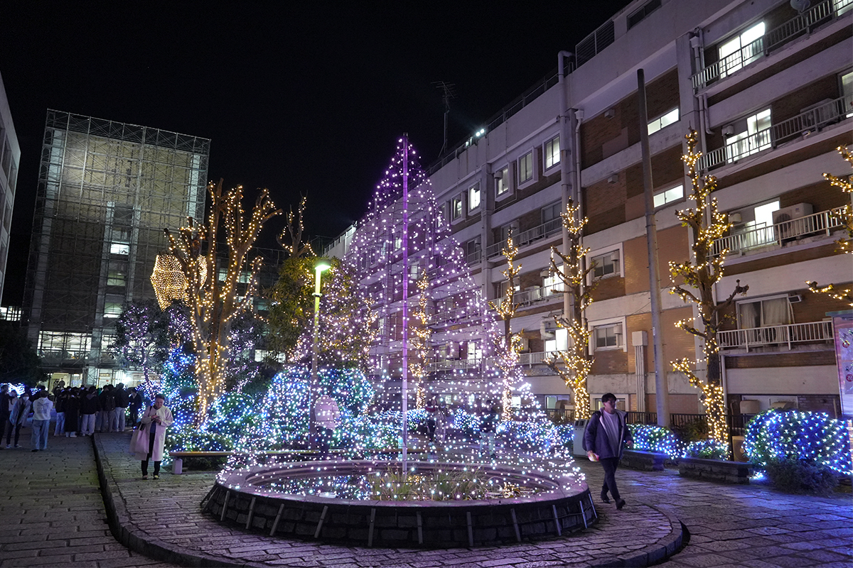 旗の台キャンパスにてイルミネーション点灯式を行いました｜昭和医科大学
