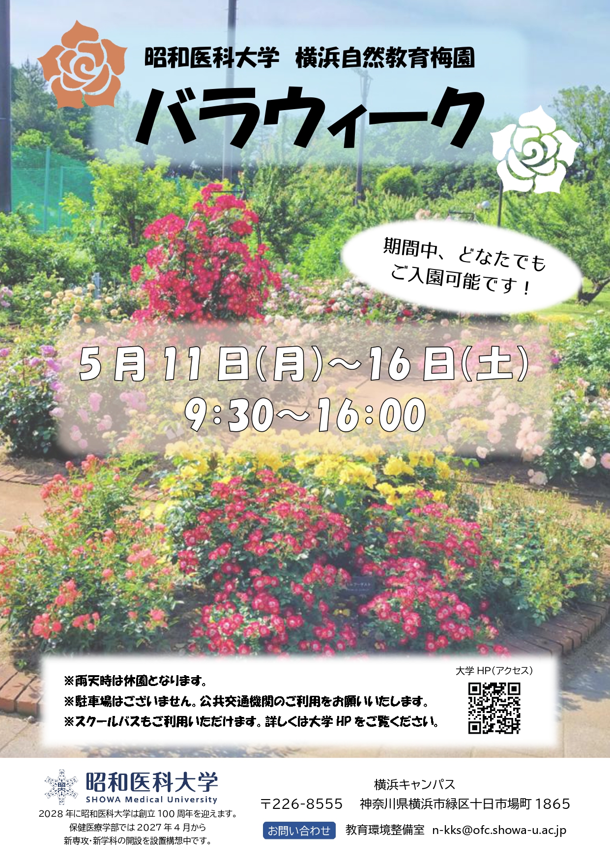 昭和医科大学横浜自然教育梅園 『バラウィーク』を開催します｜昭和 